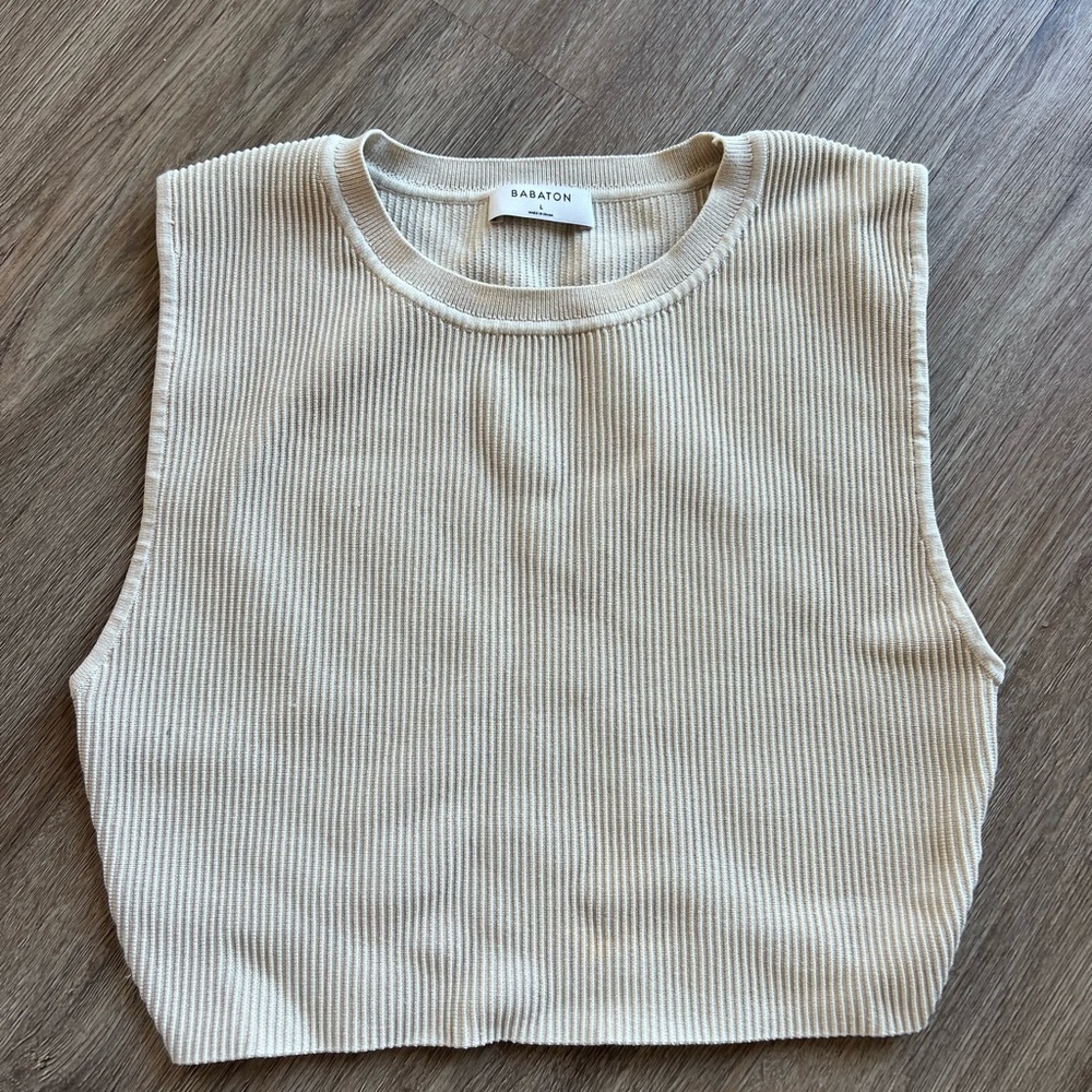 Aritzia Babaton Sleeveless Cropped Top
